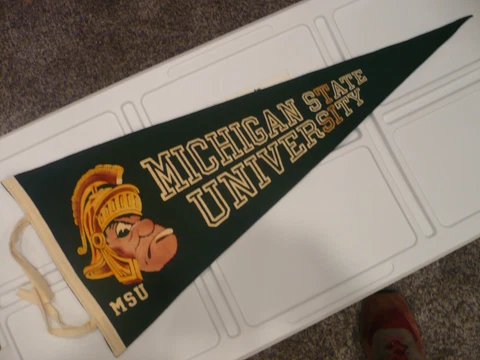 Michigan State Spartans Green Felt Pennant, 11 x 28" Cover