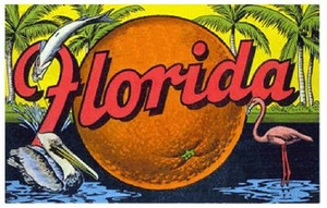 Florida Sticker Decal R965 Vintage Style - Picture 1 of 1