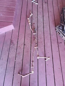 1965 CADILLAC deville FLEETWOOD TIE RODS & CENTER LINK - Picture 1 of 8