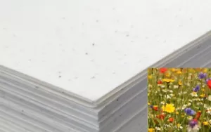 Seed Craft Papier 10 Blatt A6 Größe gemischt Wildblumenkerne 200 GSM pflanzbar ECO - Bild 1 von 1