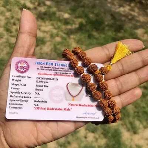 CERTIFICADO LABORATORIO 5 cuentas de oración Mukhi RUDRAKSHA Rudraksh Mala 54+1 cuentas 8 mm - Imagen 1 de 5