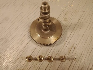 Árbol de levas Briggs & Stratton modelo 406777 - Imagen 1 de 3