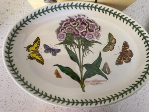 Portmeirion Botanic Garden Dianthus Barbatus Oval Steak Platter Sweet William - Picture 1 of 3