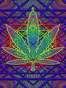 Plush Queen Size Marijuana Blanket - Extremely Soft - Sacred Leaf - Picture 1 of 3