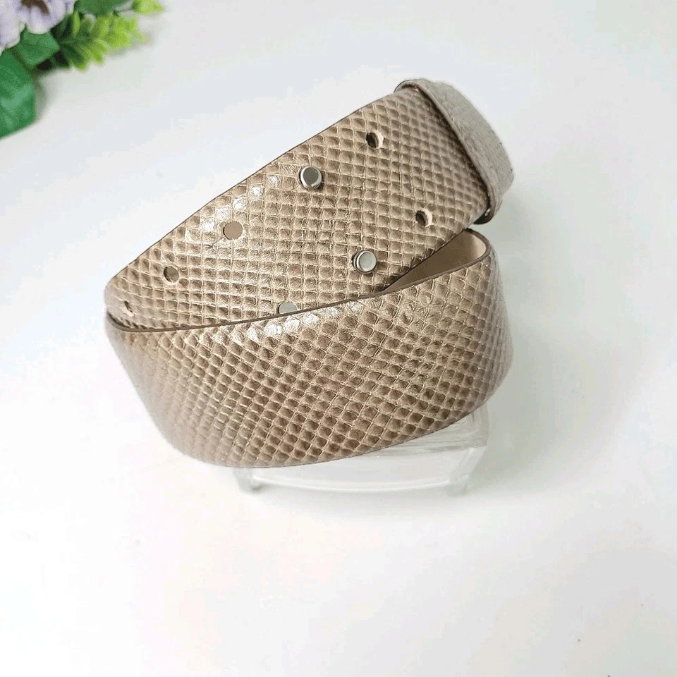 Cinturón para mujer Ann Taylor mediano marrón topo piel de serpiente cuero genuino declaración  Foto 1 de 4