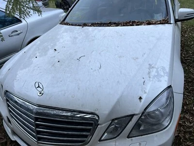 (Solo camioneta GA) 2010-2013 Mercedes-Benz E63 AMG W212 E550 E350 capó genuino OEM Foto 1 de 4