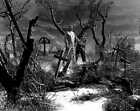 Seltener B&W Frankenstein Boris Karloff Kunstdruck LE von 50