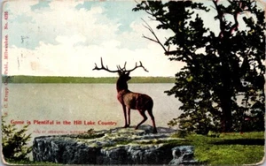 Juego de postales es abundante Hill Lake Country Whitetail Deer Wisconsin 1911 15203 - Imagen 1 de 2