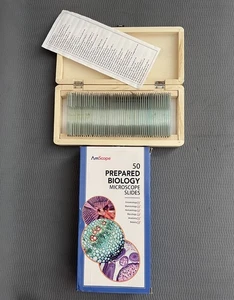 AmScope PS50 50 Stück präpariertes Mikroskop Glasobjektträger für Biologie Wissenschaft - Bild 1 von 3