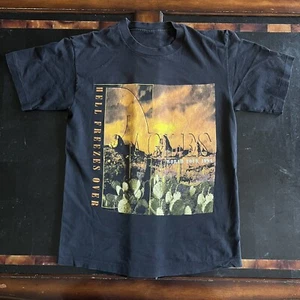 Camiseta vintage de los Eagles de los 90 "Hell Freezes Over" 1994 BAND TOUR puntada única descolorida - Imagen 1 de 8