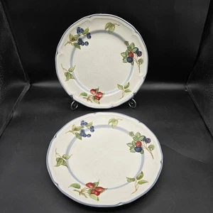 SET of 2 Villeroy Boch Country Collection COTTAGE Dinner Plates 10.5" Inch FRUIT - Picture 1 of 10