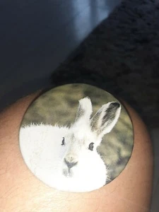 Insignia vintage Lama - Imagen 1 de 2