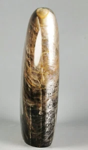 Amazing Black MOONSTONE Crystal Polished Standup Orbicular Reiki Statue - Picture 1 of 12