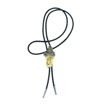 Auténtica Corbata Bolo Cabeza de Serpiente de Cascabel Taxidermia Vaquero Occidental Cuello de Serpiente Foto 1 de 4