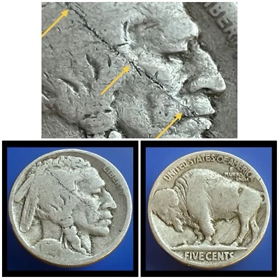 1919-P Buffalo Nickel Error. Lamination Peel/Defective Planchet. Obverse. #1901 - Image 1 of 4