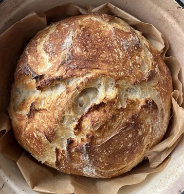 Arrancador de masa madre orgánica deshidratado - Instrucciones y recetas incluidas Foto 1 de 4