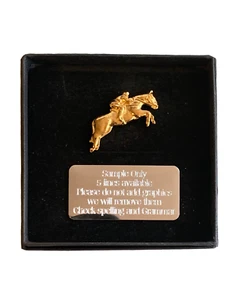 Gold Plated Pewter Race Horse & Jockey Pin Badge in Personalised Gift Box - Picture 1 of 6