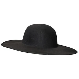 Plague Doctor Hat - Morris Costumes - Picture 1 of 2