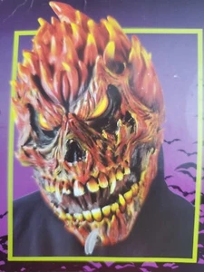 FUNWORLD Fearsome Faces Feuer Totenkopf Maske Neu Halloween Classic Ghost Rider Wow - Bild 1 von 24