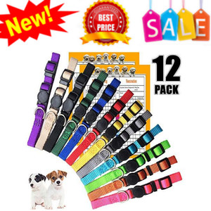 newborn kitten collars