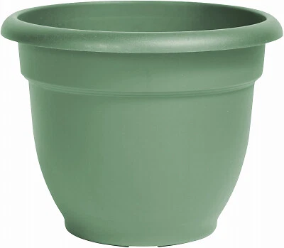 Bloem Living Green Ariana Planter 6 Inch 087404564062