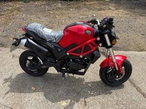 2021/21 COLT 125 "Mini Ducati Monster" - Picture 1 of 5