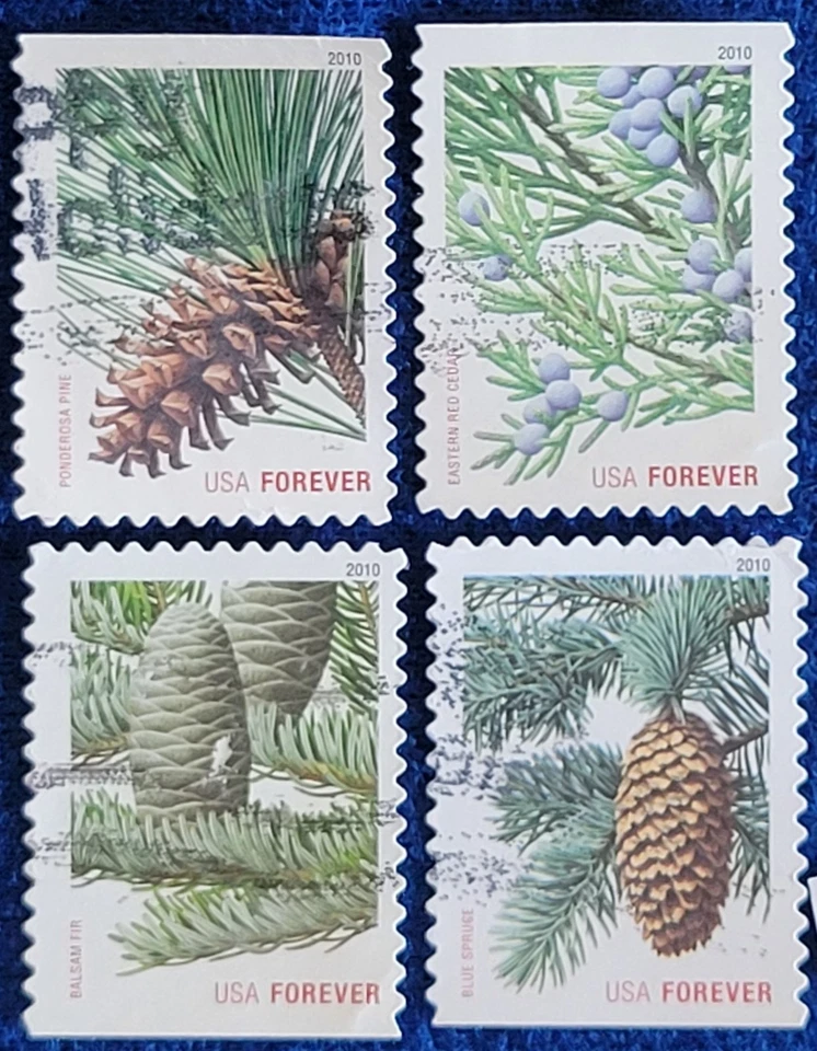 US Stamps 2010 Holiday Evergreens (Lg) Forever Set of 4 Used Off Paper #4478-81  - Image 1 of 1