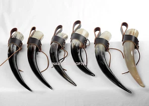 Set of 6 Drinking Horn Mug Game of Thrones Ale Beer Mug Anniversary Gifting Item - Picture 1 of 4