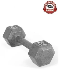 12 Lbs Cast Iron Hex Dumbbells Single Piece Workout Strength Training Equipment - Picture 1 of 4