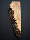 Maple Burl, Live Edge, 9 1/2” Long, 2” To 3 1/2” Wide, 1 1/2” Thick, Dry