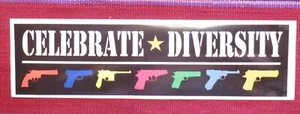 CELEBRATE DIVERSITY BUMPER STICKER 2A NRA SECOND AMENDMENT FJB LETS GO BRANDON - Picture 1 of 1