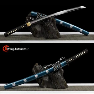 Espada Práctica Nokugawa Japonés Samurai Wakizashi T10 Arcilla de Corcel Templada - Imagen 1 de 10
