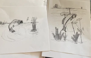 Bass Fish Drawings 8x10 - Picture 1 of 1