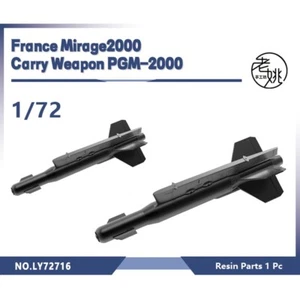LY72716 1/72 Model Upgrade Parts France Mirage2000 Carry Weapon PGM-2000 - Bild 1 von 2