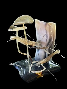 ESCULTURA DE MAR CUERNO TALLADO ASIÁTICO de colección con camarones, planta marina, jarrón Horne tallado - Imagen 1 de 8