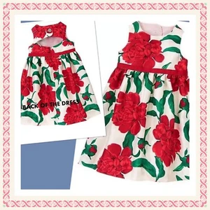 NWT Girls 2T Gymboree JOYFUL HOLIDAY Floral ROSE GREEN Special TULLE DRESS $59 - Picture 1 of 6