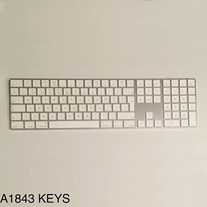 A1843 Apple Magic Keyboard With Numeric Pad 1x White Replacement Key & Hinge - Picture 1 of 1