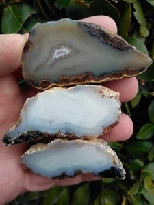 THREE (3) FLAT FACE POLISHED MEXICAN FORTIFICATION AGATE NODULE BLACK BLUE 6.8OZ - Picture 1 of 11