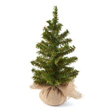 Artificial Canadian Trees with Burlap Base | Set of 2