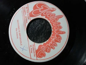 THE INTERNS NOTHING IS IMPOSSIBLE 45 RECORD THE HARDY BOYS JAMAICA - Picture 1 of 2