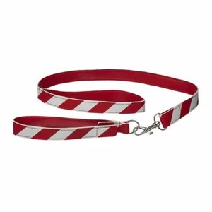 NEU MIT ETIKETT Weihnachten Süßigkeiten gestreift Welpe Hund HALSBAND & LEINE SET Leine BUILD A BEAR NEU - Bild 1 von 1