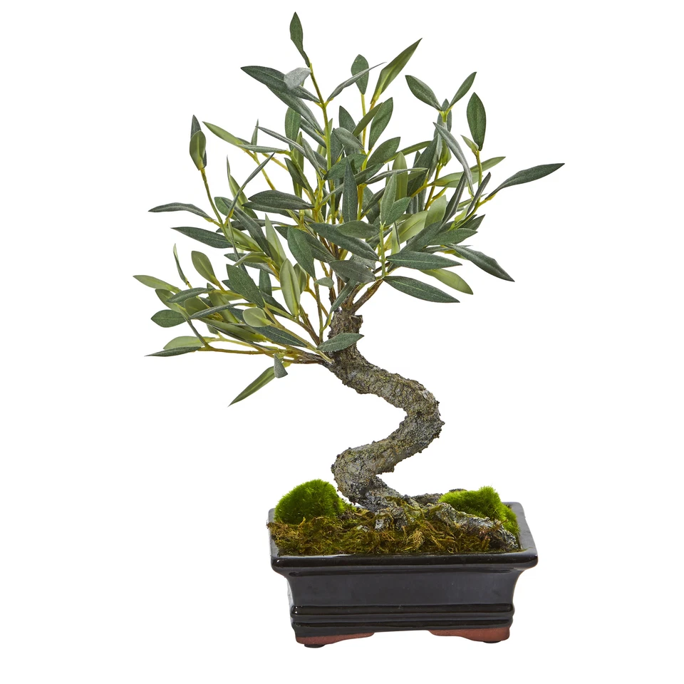 Nearly Natural 13" Mini Olive Artificial Bonsai Tree Home Office Decoration - Image 1 of 1