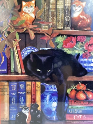 Rompecabezas On the Shelf Black Cat 1000 piezas SunsOut extremos de libro Crissie Snelling sellado Foto 1 de 4