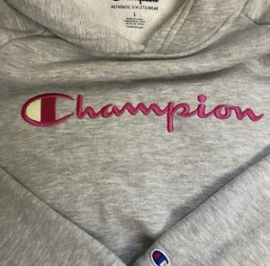 Champion Hoodie, Girls Youth Large, Excellent Condition - Picture 1 of 4