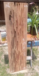 Tight Grain Craft Wood Real Underwater Recovered Old Growth Pecky Sinker Cypress - Picture 1 of 17