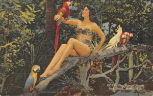 Miami, Florida Papageiendschungel Frau im Bikini 1952 Leinen Vintage Postkarte - Bild 1 von 2