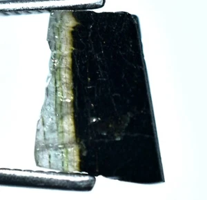 3.15 Ct Natural Bi-color Tourmaline Slice Untreated AGSL Certified Gemstone !! - Picture 1 of 5