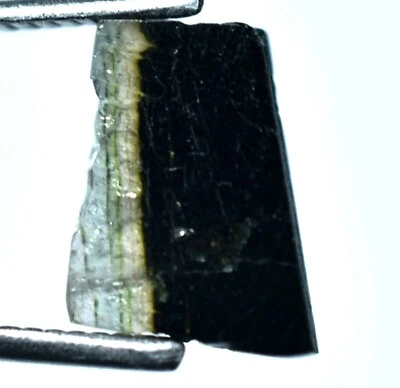3.15 Ct Natural Bi-color Tourmaline Slice Untreated AGSL Certified Gemstone !! - Image 1 of 4
