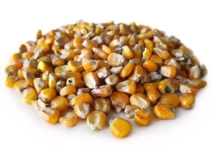 Jaune de maïs 200KG | Nourriture pour carpe - Photo 1/2