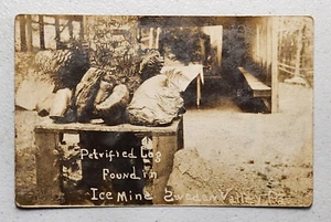 Petrified Log Ice Mine Sweden Valley Postcard - Picture 1 of 3